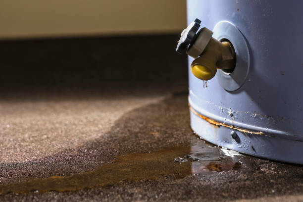Best Flood restoration services  in Jennings, MO