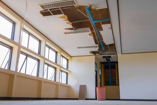 Best Ceiling water damage repair  in Jennings, MO