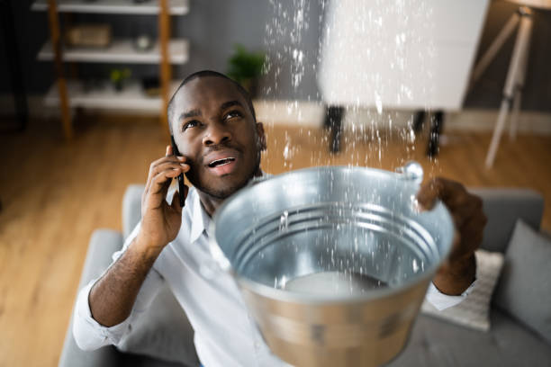 Best Ceiling water damage repair  in Jennings, MO