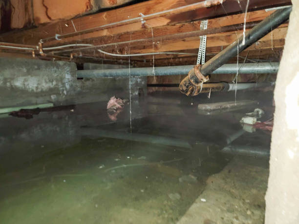  Jennings, MO Water damage restoration Pros