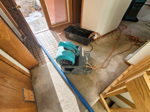 Water damage restoration mold remediation in Jennings, MO