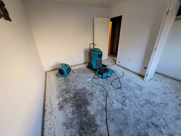 Best Water damage cleanup near me  in Jennings, MO