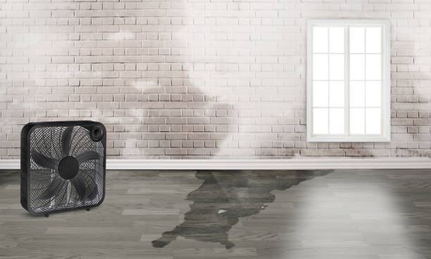 Best Commercial water damage restoration  in Jennings, MO