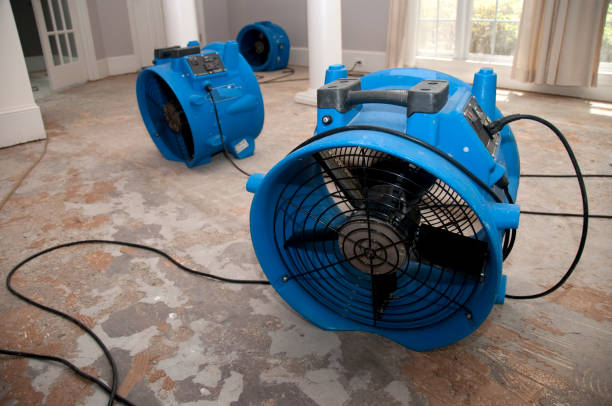 Best 24-hour water damage restoration  in Jennings, MO