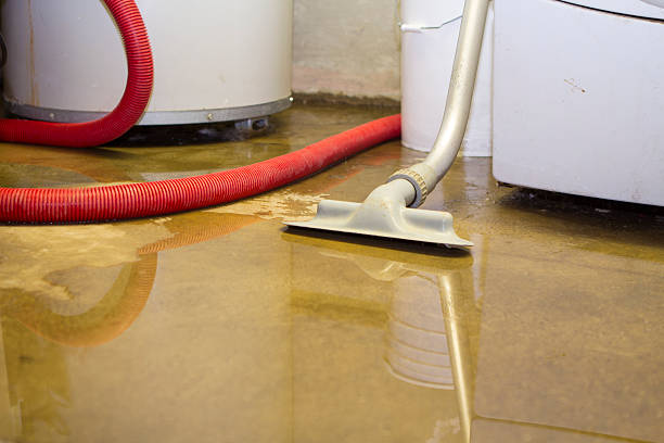Best Local water damage restoration  in Jennings, MO