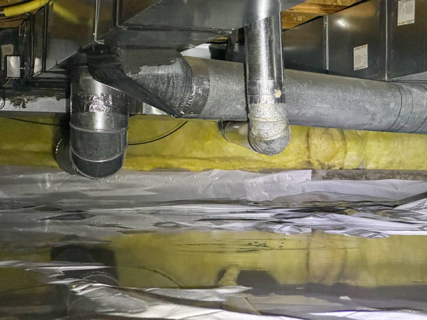 Best Basement water damage restoration  in Jennings, MO
