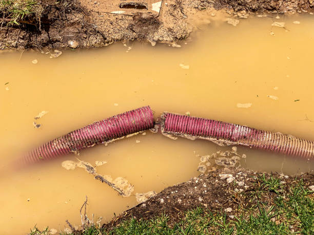  Jennings, MO Water damage restoration Pros