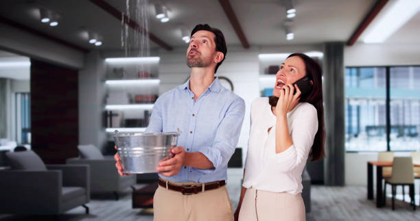 Best Sewage cleanup and water damage restoration  in Jennings, MO